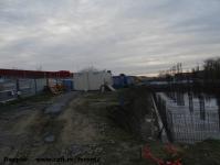 Imagine atasata: Vivalia - Bulbuca - 2015.11.15 - 04.jpg